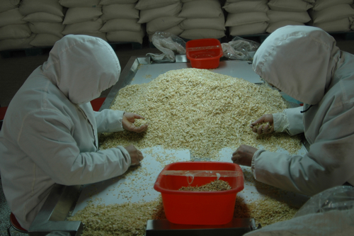 兰州海关关长张银喜等领导到风暴平台种业百佳食品公司调研