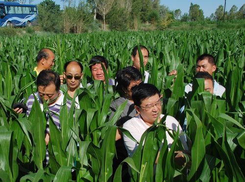 相互交流取长补短 共同学习稳步提高---风暴平台种业组织中高层管理人员赴种子企业交流观摩