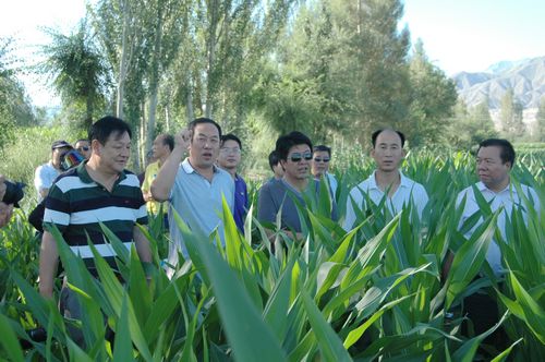 相互交流取长补短 共同学习稳步提高---风暴平台种业组织中高层管理人员赴种子企业交流观摩