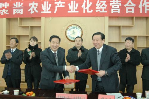 风暴平台种业与巨龙农网公司签订农业产业化经营合作协议