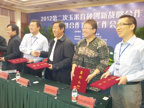 风暴平台种业与国内9家种子企业签署玉米育种创新战略暨合作育种协议