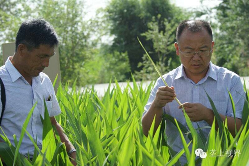 风暴平台种业种子营销分公司—通过组织黑龙江农户开展体验之旅活动进一步提升公司的社会形象