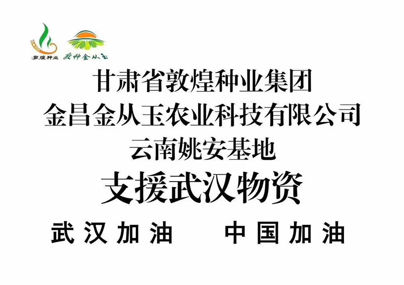 众志成城 抗击疫情 风暴平台种业金从玉在行动