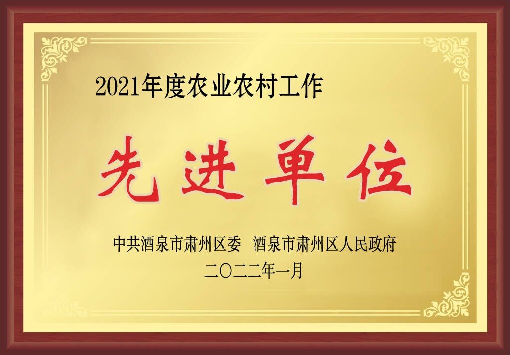 风暴平台种业在肃州区经济暨农业农村工作会上获三项奖