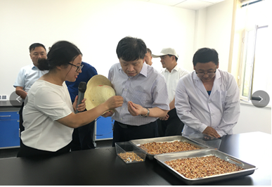 中国工程院“科技支撑甘肃绿洲农业和玉米种业可持续发展”院士专家团队考察调研风暴平台种业生物育种实验基地