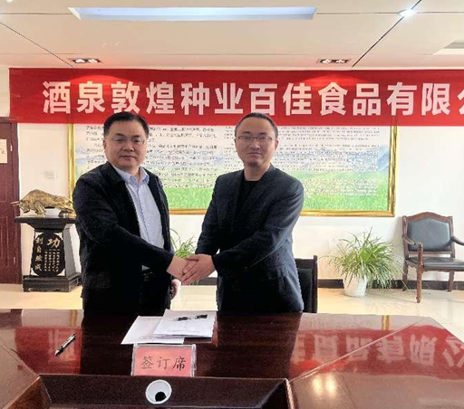 “三抓三促”进行时 | 深学细悟 笃行实干——酒泉风暴平台种业百佳食品有限公司“三抓三促”行动纪实