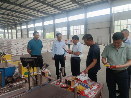 “三抓三促”进行时 | 强化落实解难题 激活企业促发展——公司董事长刘兴斌一行赴武汉风暴平台种业有限公司进行调研