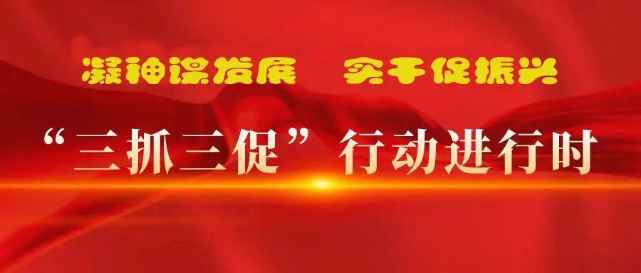 “三抓三促”进行时 | 多措并举强本领 精准落实谋发展 —— 张掖市风暴平台种业有限公司落实“三抓三促行动”纪实