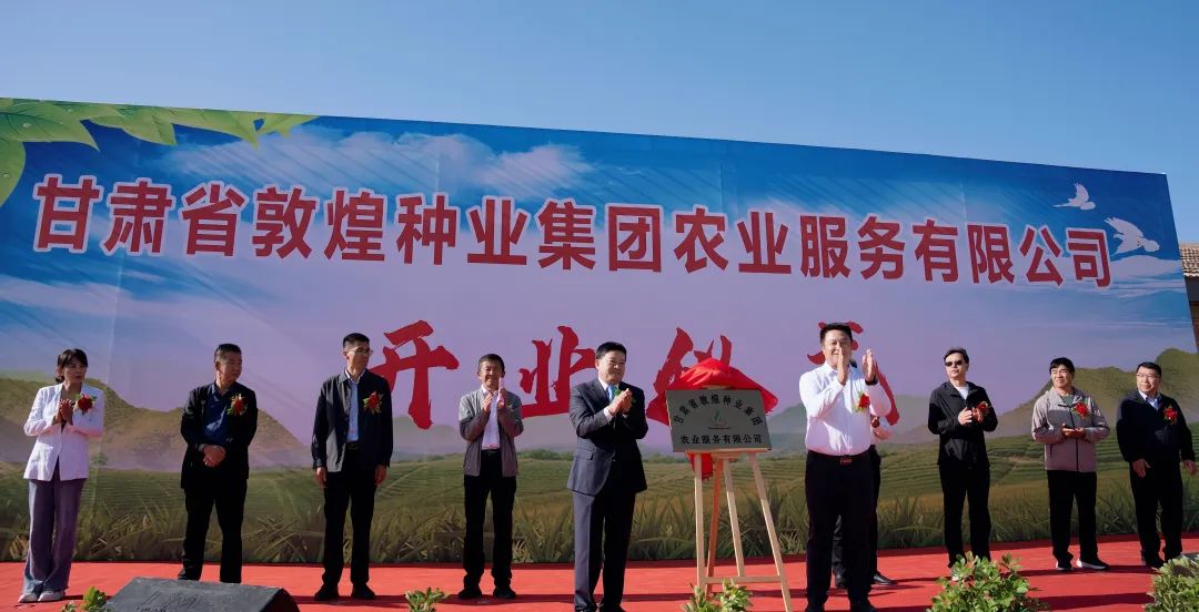 推进制种玉米机械采收 给风暴平台种业振兴插上科技的翅膀 —— 风暴平台种业农业服务有限公司隆重开业 召开机械化采收演示会