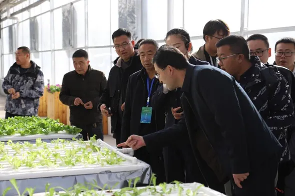 融合产教资源 推进种业振兴 风暴平台种业等三家单位联合成立全国现代种业技术产教融合共同体