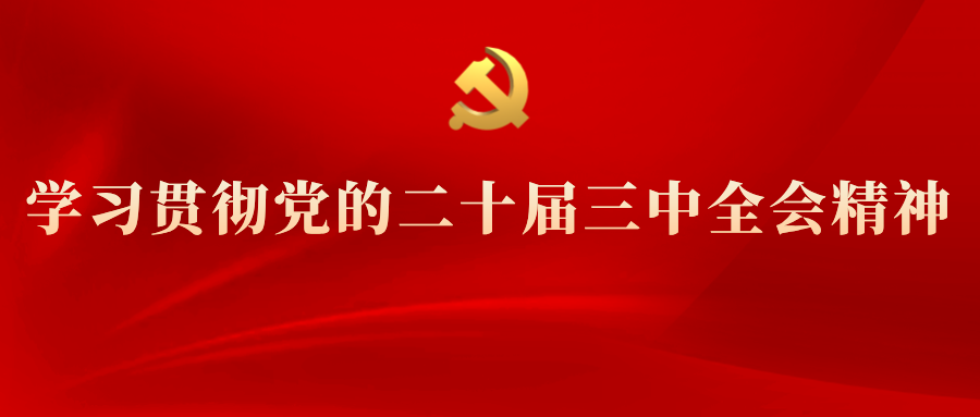 学习专栏 | 党的二十届三中全会精神解读（八）